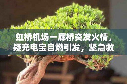 虹桥机场一廊桥突发火情，疑充电宝自燃引发，紧急救援与安全防范措施全面启动