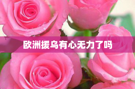 欧洲援乌有心无力了吗