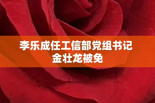 李乐成任工信部党组书记 金壮龙被免
