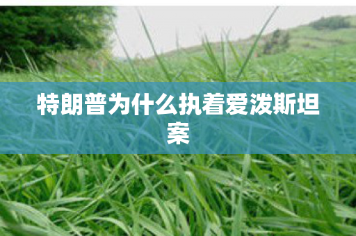 特朗普为什么执着爱泼斯坦案