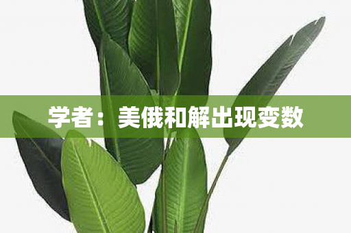 学者：美俄和解出现变数