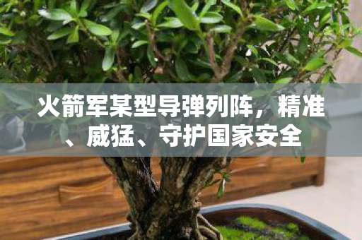 火箭军某型导弹列阵，精准、威猛、守护国家安全