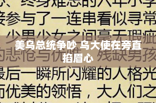 美乌总统争吵 乌大使在旁直掐眉心