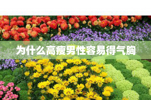为什么高瘦男性容易得气胸