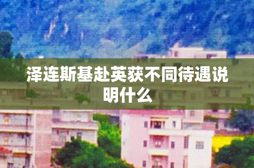 泽连斯基赴英获不同待遇说明什么