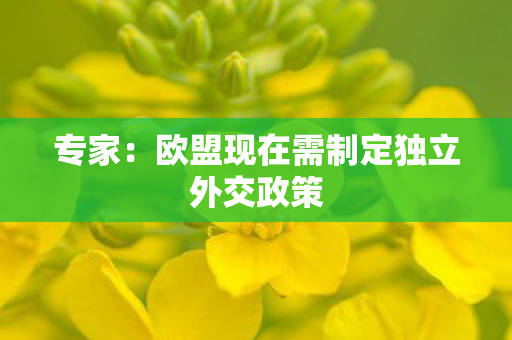 专家：欧盟现在需制定独立外交政策