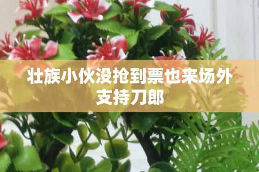 壮族小伙没抢到票也来场外支持刀郎