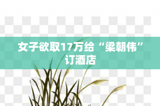 女子欲取17万给“梁朝伟”订酒店