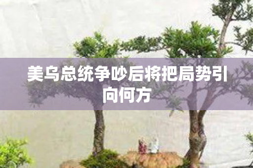 美乌总统争吵后将把局势引向何方