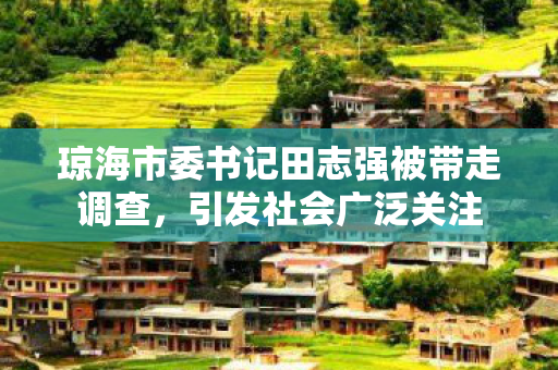 琼海市委书记田志强被带走调查，引发社会广泛关注
