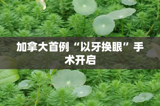 加拿大首例“以牙换眼”手术开启