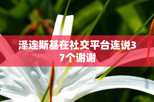 泽连斯基在社交平台连说37个谢谢