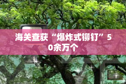 海关查获“爆炸式铆钉”50余万个