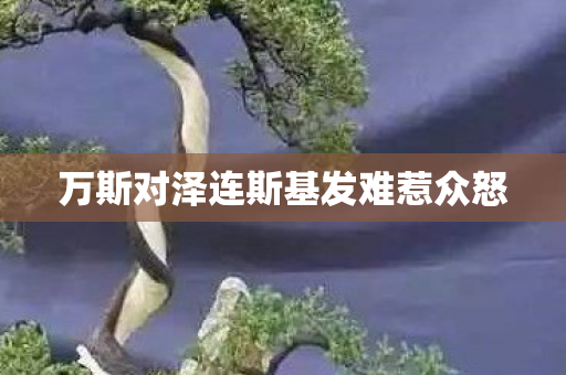 万斯对泽连斯基发难惹众怒