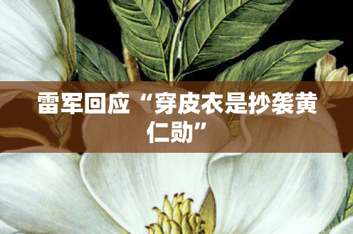 雷军回应“穿皮衣是抄袭黄仁勋”