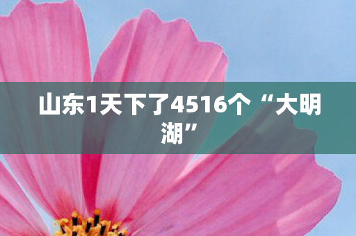 山东1天下了4516个“大明湖”