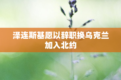 泽连斯基愿以辞职换乌克兰加入北约