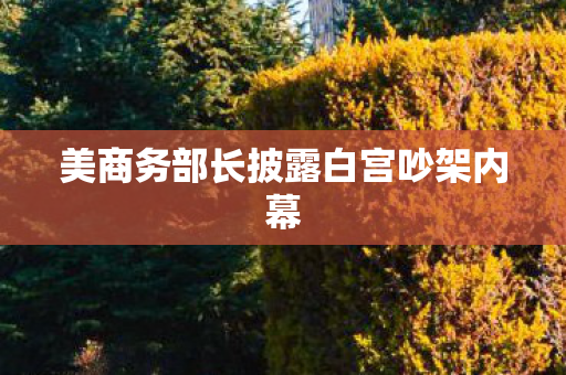 美商务部长披露白宫吵架内幕