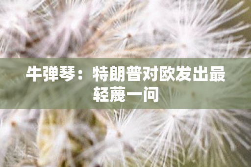 牛弹琴：特朗普对欧发出最轻蔑一问