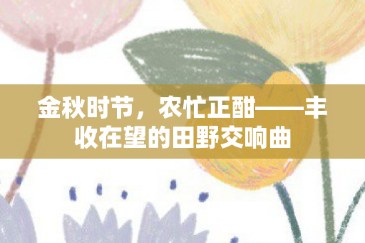 金秋时节，农忙正酣——丰收在望的田野交响曲