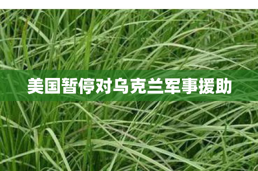 美国暂停对乌克兰军事援助