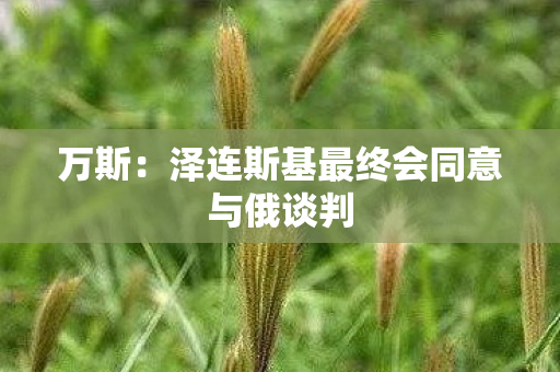 万斯：泽连斯基最终会同意与俄谈判