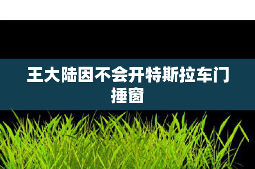 王大陆因不会开特斯拉车门捶窗