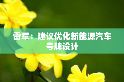 雷军：建议优化新能源汽车号牌设计