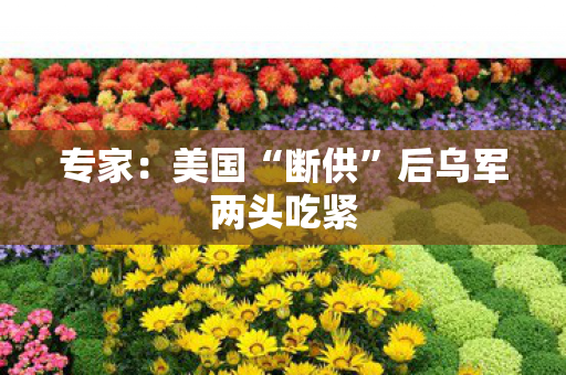 专家：美国“断供”后乌军两头吃紧