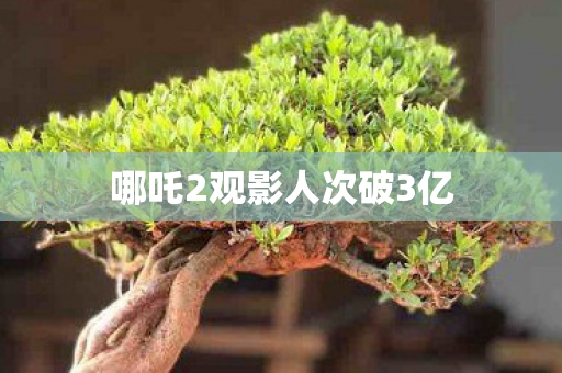 哪吒2观影人次破3亿