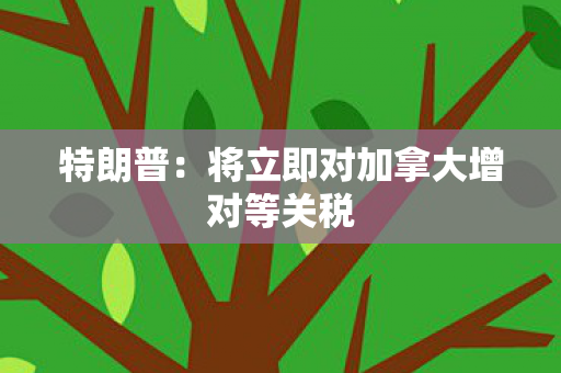 特朗普：将立即对加拿大增对等关税