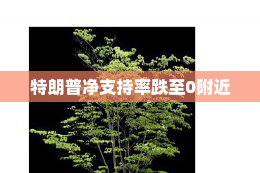 特朗普净支持率跌至0附近