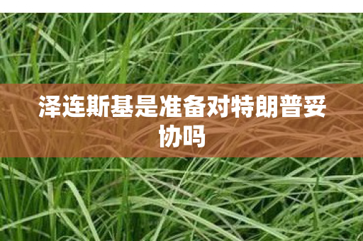 泽连斯基是准备对特朗普妥协吗
