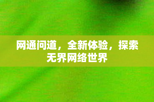 网通问道，全新体验，探索无界网络世界
