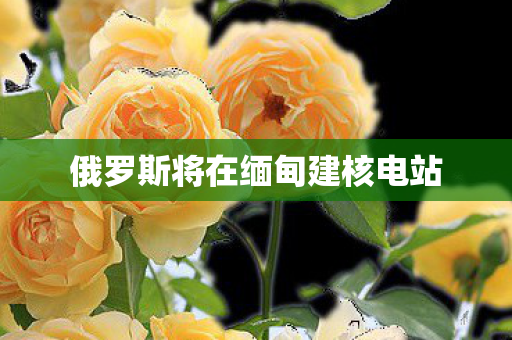 俄罗斯将在缅甸建核电站