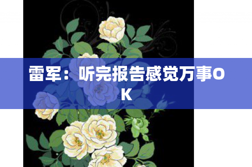 雷军：听完报告感觉万事OK
