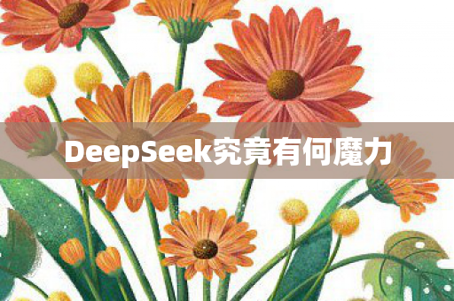 DeepSeek究竟有何魔力