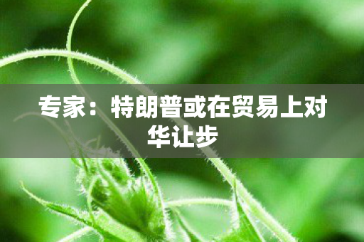 专家：特朗普或在贸易上对华让步