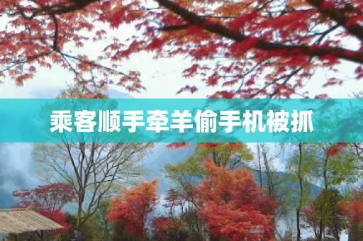 乘客顺手牵羊偷手机被抓