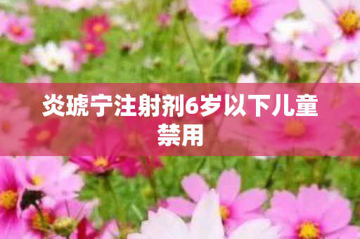 炎琥宁注射剂6岁以下儿童禁用