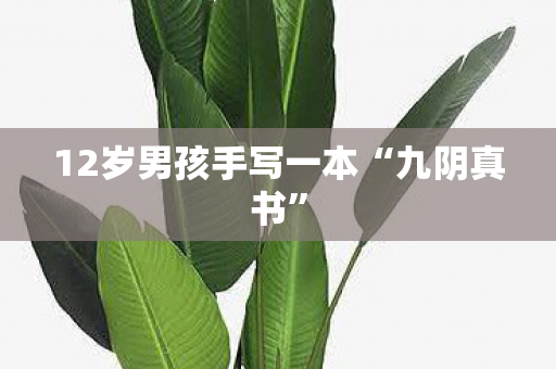 12岁男孩手写一本“九阴真书”
