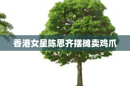 香港女星陈思齐摆摊卖鸡爪