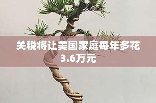 关税将让美国家庭每年多花3.6万元