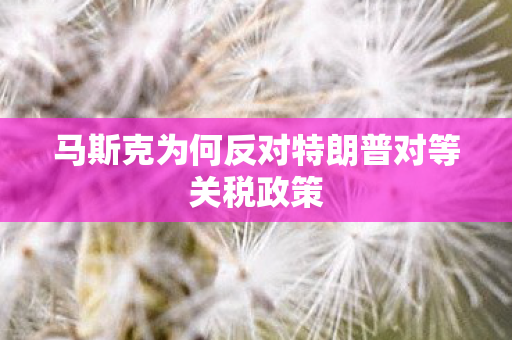 马斯克为何反对特朗普对等关税政策