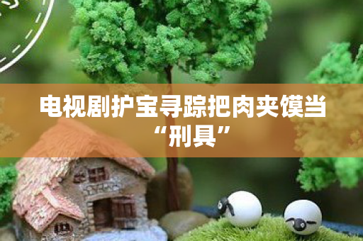 电视剧护宝寻踪把肉夹馍当“刑具”