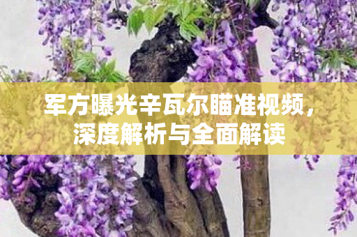 军方曝光辛瓦尔瞄准视频，深度解析与全面解读