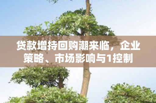 贷款增持回购潮来临，企业策略、市场影响与1控制