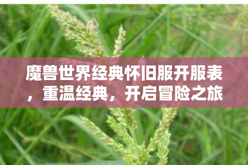 魔兽世界经典怀旧服开服表，重温经典，开启冒险之旅