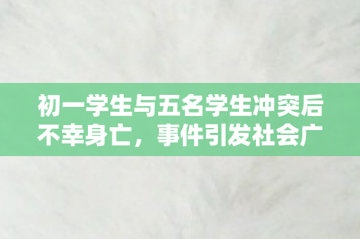 初一学生与五名学生冲突后不幸身亡，事件引发社会广泛关注