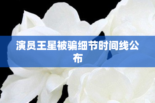 演员王星被骗细节时间线公布